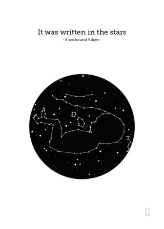 Star Scan - Circle