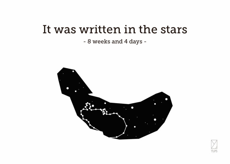 Star Scan - Outline