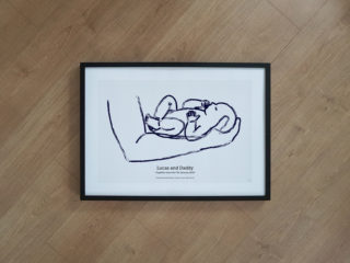 Alternative view of The First